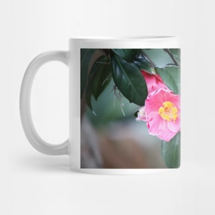 Pink Camellia Japonica Mug